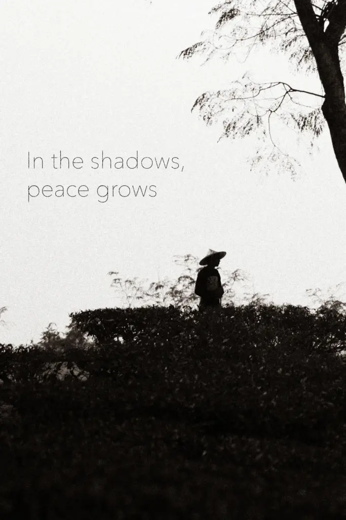 Silhouette in einer Landschaft mit Teesträuchern · Bangladesch